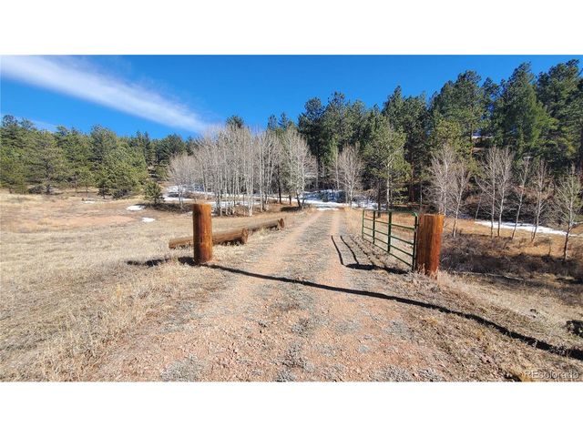958 Meadows Ln, Florissant, CO 80820