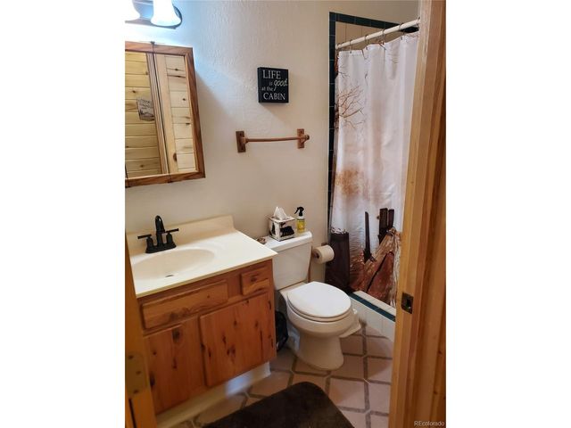 958 Meadows Ln, Florissant, CO 80820