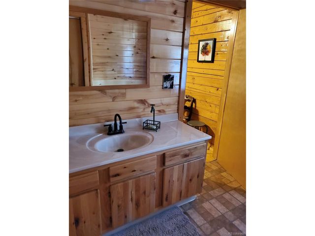 958 Meadows Ln, Florissant, CO 80820