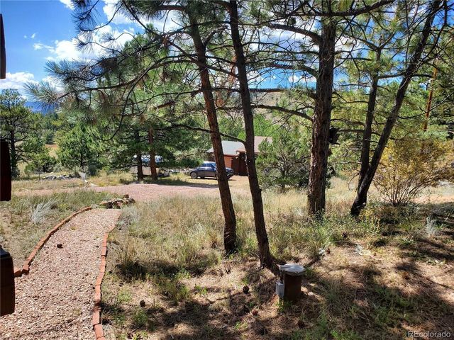 958 Meadows Ln, Florissant, CO 80820