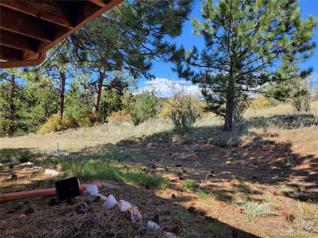 958 Meadows Ln, Florissant, CO 80820