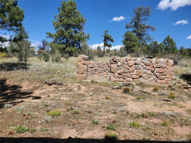 958 Meadows Ln, Florissant, CO 80820