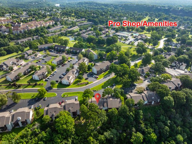124 Grandview Drive 3, Branson, MO 65616