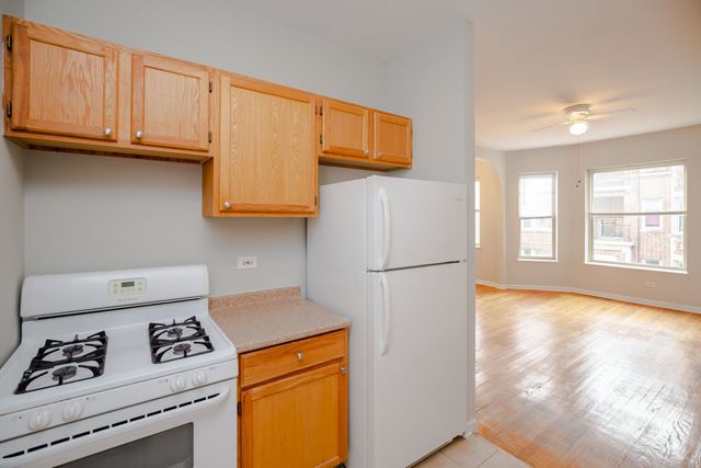 429 E Oakwood Boulevard 11, Chicago, IL 60653