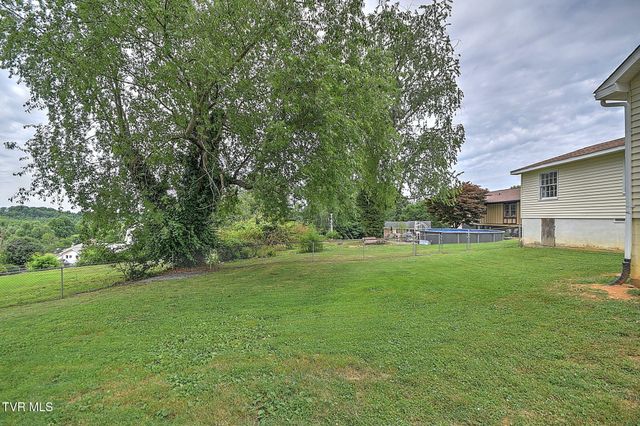 125 Downy Place, Bristol, VA 24201