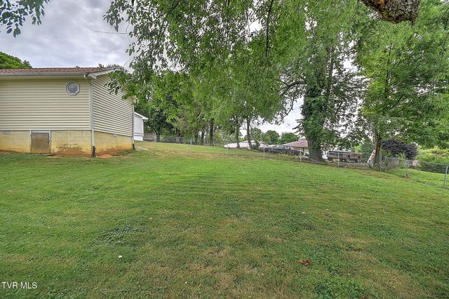 125 Downy Place, Bristol, VA 24201