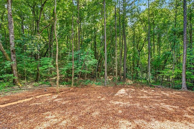 116 Reindeer Lane, Talking Rock, GA 30175