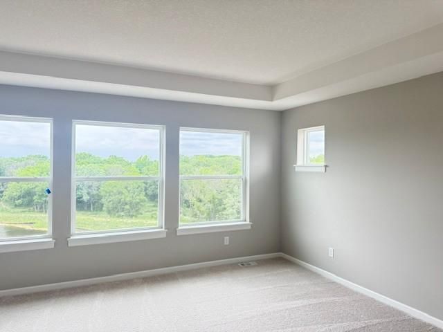 10695 Ithaca Lane N, Maple Grove, MN 55369