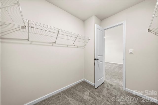 2209 Lilium Drive, Charlotte, NC 28216