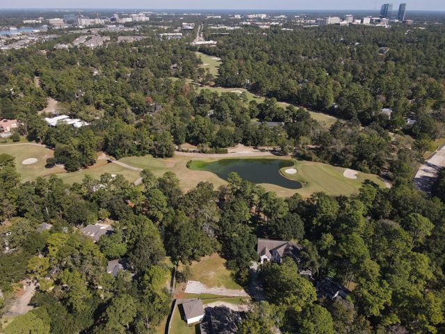 10816 Colony Wood Place, Spring, TX 77380