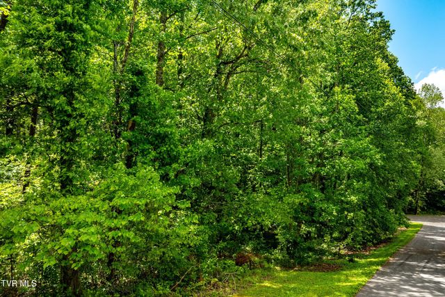 Tbd Victor Drive, Johnson City, TN 37604