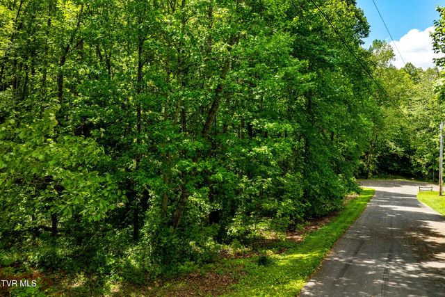 Tbd Victor Drive, Johnson City, TN 37604