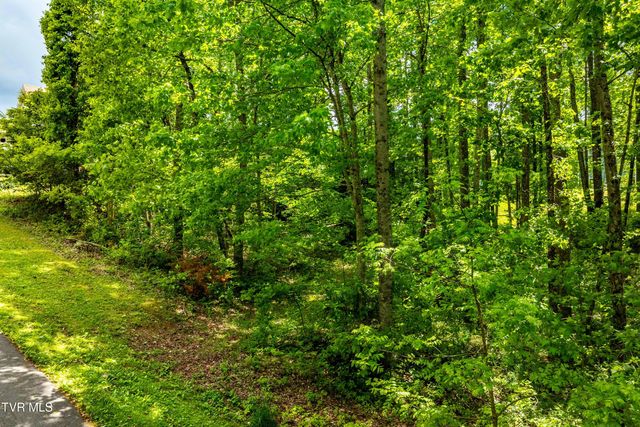 Tbd Victor Drive, Johnson City, TN 37604