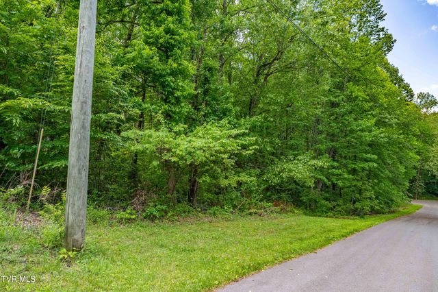 Tbd Victor Drive, Johnson City, TN 37604