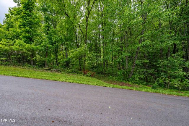 Tbd Victor Drive, Johnson City, TN 37604