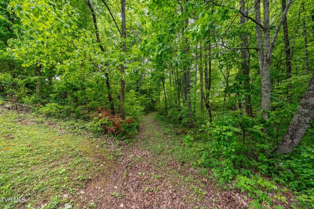 Tbd Victor Drive, Johnson City, TN 37604