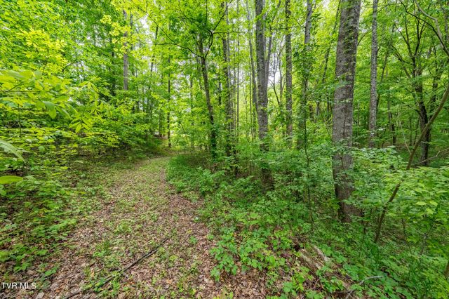 Tbd Victor Drive, Johnson City, TN 37604