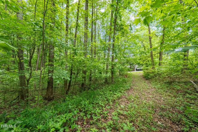Tbd Victor Drive, Johnson City, TN 37604