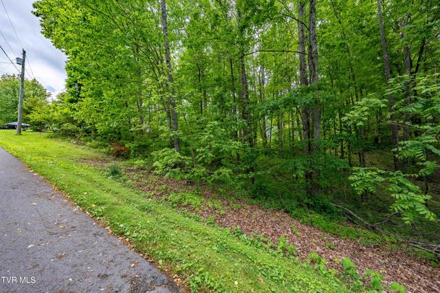 Tbd Victor Drive, Johnson City, TN 37604