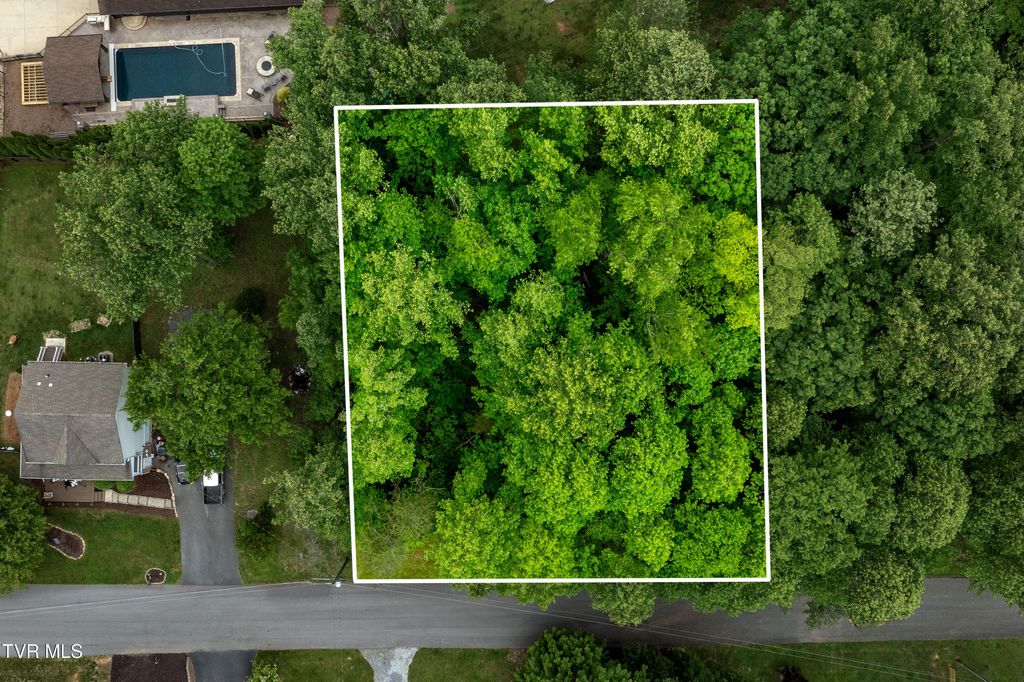 Tbd Victor Drive, Johnson City, TN 37604