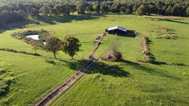 12343 Griffith Road, Pikeville, TN 37367