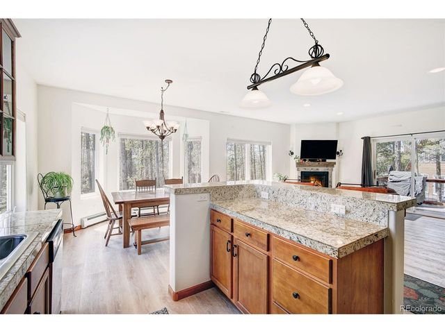 148 Imogene Cir, Leadville, CO 80461