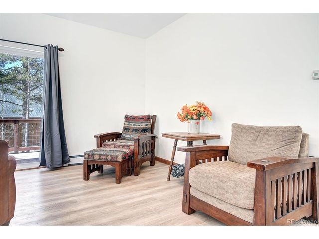 148 Imogene Cir, Leadville, CO 80461