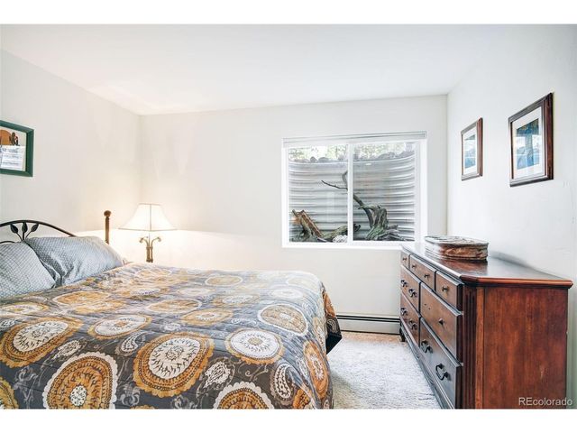 148 Imogene Cir, Leadville, CO 80461