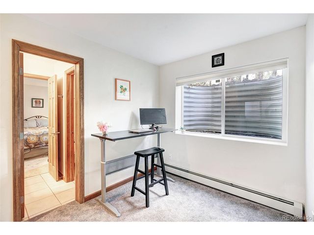 148 Imogene Cir, Leadville, CO 80461