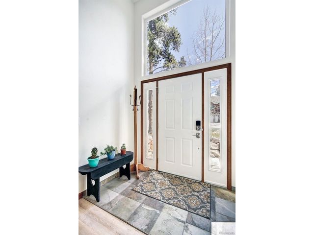 148 Imogene Cir, Leadville, CO 80461