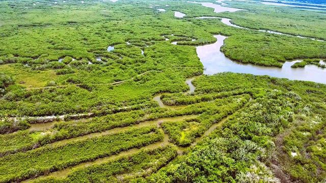 4168 SAXON DRIVE, New Smyrna Beach, FL 32169