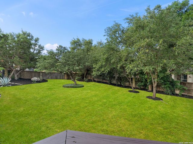 2007 Sauvignon, San Antonio, TX 78258