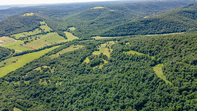 17068 Hazel Valley Road, Fayetteville, AR 72701