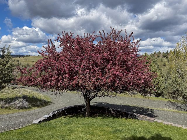 58392 Antelope Lane, John Day, OR 97845