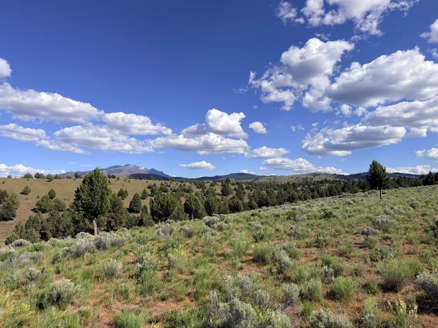 58392 Antelope Lane, John Day, OR 97845