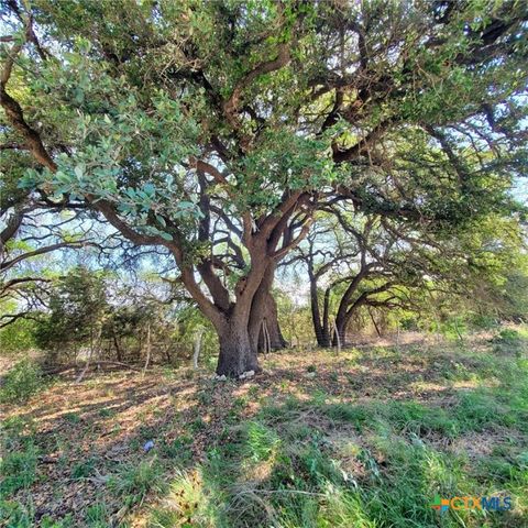 0 E US Highway 190, Kempner, TX 76539