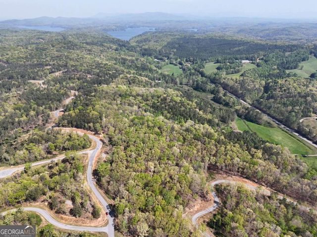 LT 20 Blalock Mountain Road, Ellijay, GA 30540