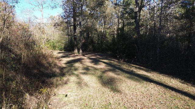 TBD Fm 1280 E, Lovelady, TX 75851