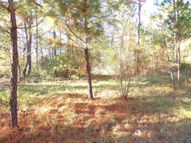 TBD Fm 1280 E, Lovelady, TX 75851