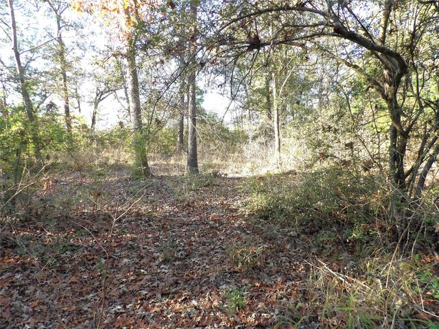 TBD Fm 1280 E, Lovelady, TX 75851