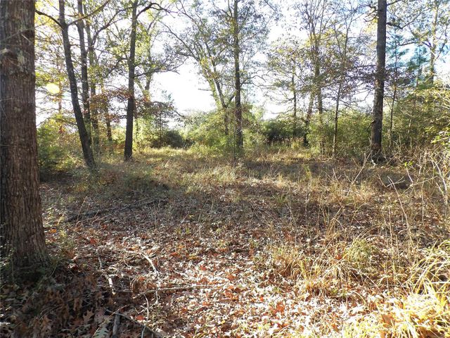 TBD Fm 1280 E, Lovelady, TX 75851