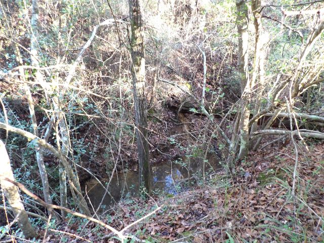 TBD Fm 1280 E, Lovelady, TX 75851