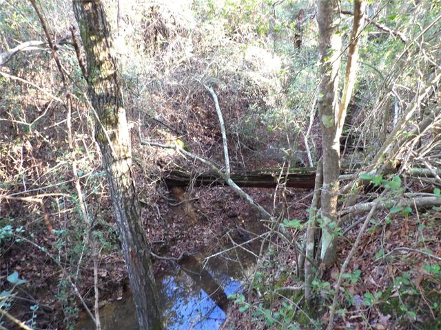 TBD Fm 1280 E, Lovelady, TX 75851