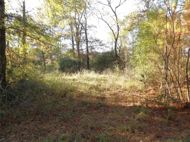 TBD Fm 1280 E, Lovelady, TX 75851