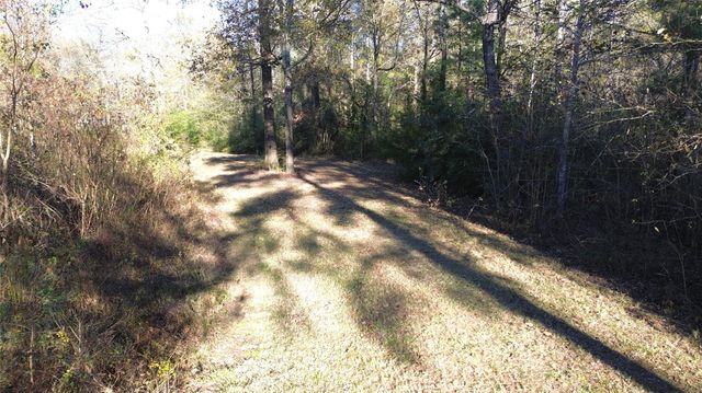 TBD Fm 1280 E, Lovelady, TX 75851