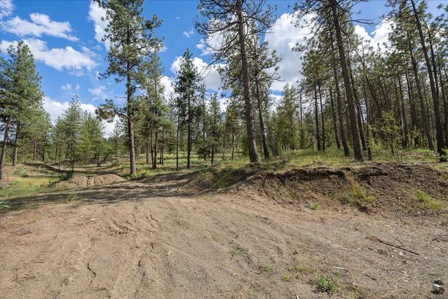 6405 W Trails Rd, Spokane, WA 99224