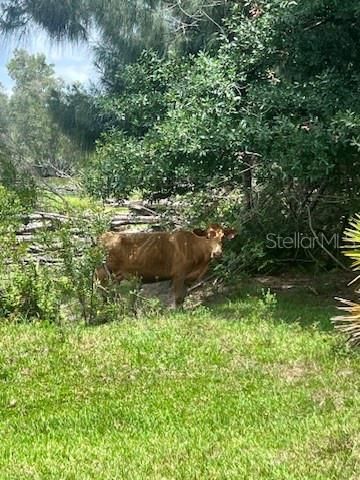 21081 GRANVILLE ROAD, North Fort Myers, FL 33917