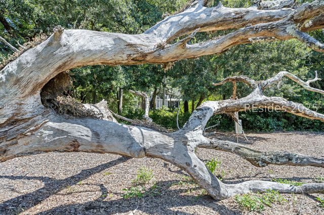 303 Spring Island Dr, Okatie, SC 29909