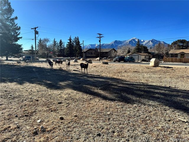 513 Gold St, Buena Vista, CO 81211
