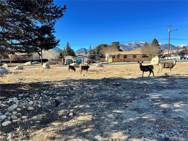 513 Gold St, Buena Vista, CO 81211